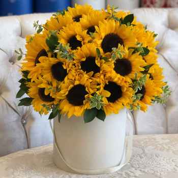 Sunflowers - code:1012