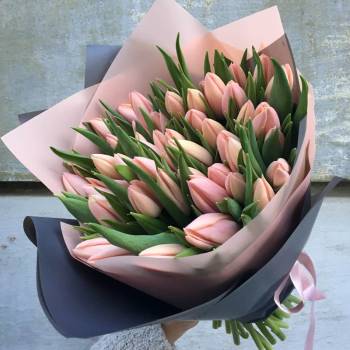 45 Pink Tulips - code:2058