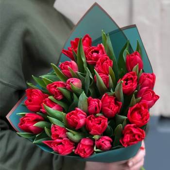 25 Red Tulips - code:2059