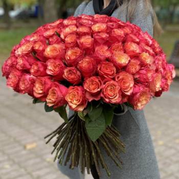 101 red-yellow roses - code 4848