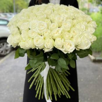 101 white roses Premium - code 4141