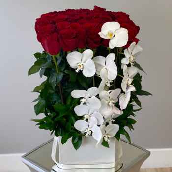 Roses and Orchids - code:5038