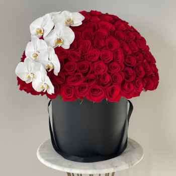 Roses and Orchids - code:5048