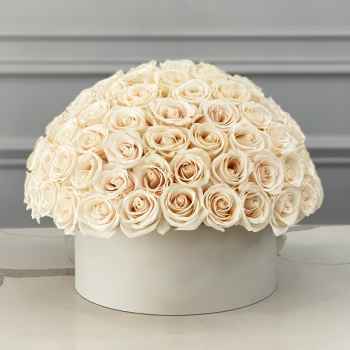 101 White Roses - code:5052
