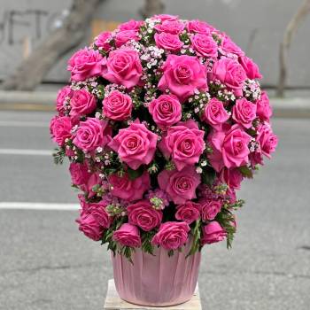 Pink Roses - code:5071