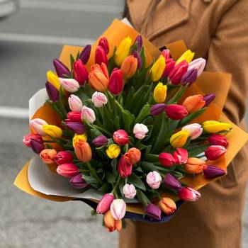 Colored Tulips - code:2043
