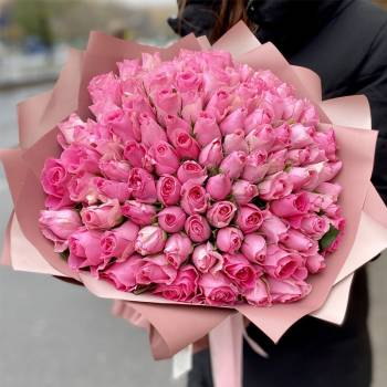 101 Pink Roses - code:5073