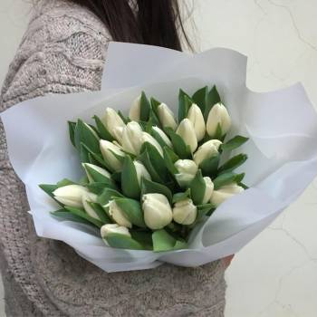 21 White Tulips - code:2057