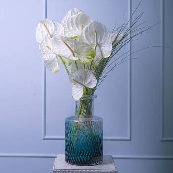 Anthuriums in Vase - code:102