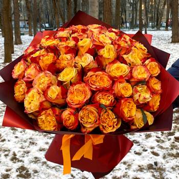 51 оранжевая роза (Выражение огня) - код 6161