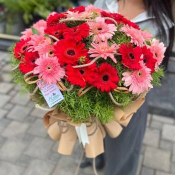 Gerbera buketi kod: 33667