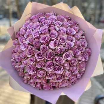101 Lilac Roses - code:5006